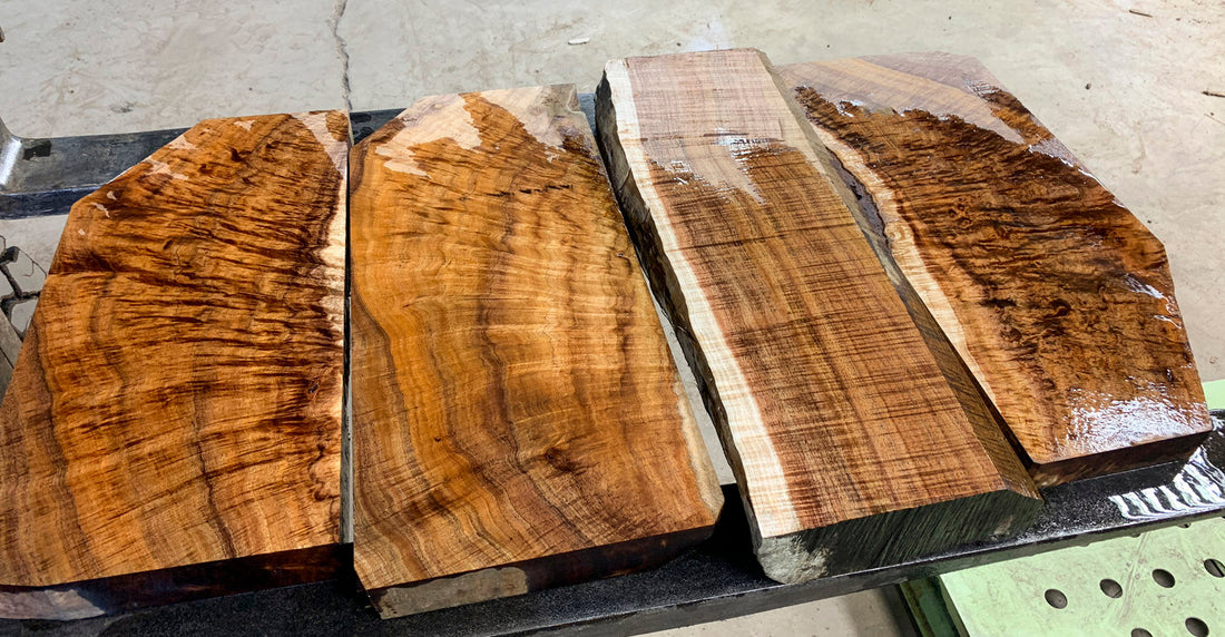 Spotlight on Australian Blackwood | Maton, Cole Clark, Fenech