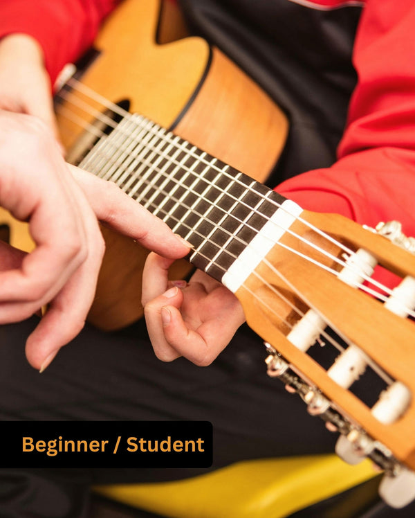 Beginner / Student Acoustic