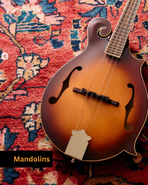 Mandolins