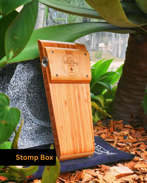 Stomp Boxes