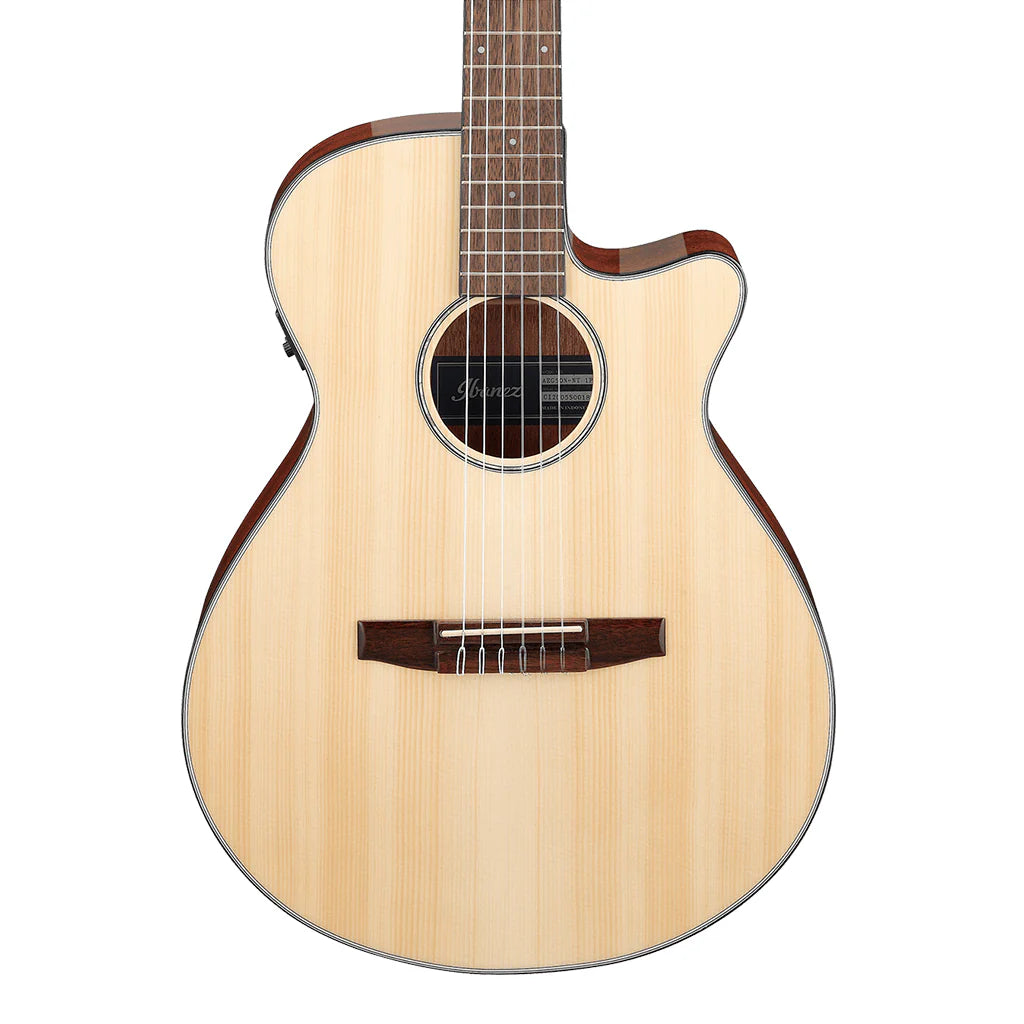 Ibanez AEG50N NT AEG Series Acoustic-Electric Guitar - Natural High Gloss