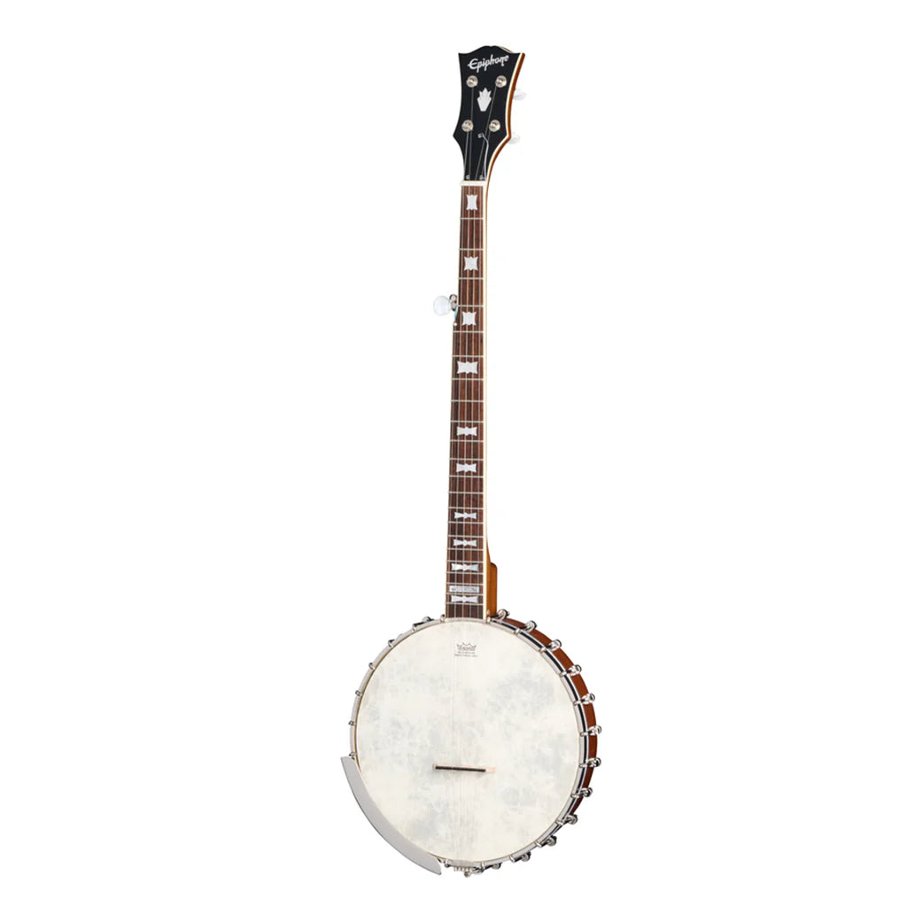 Banjo on a white background