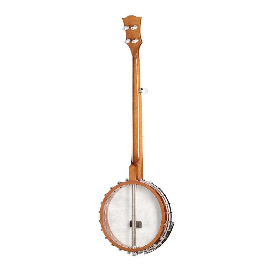 Banjo on a white background