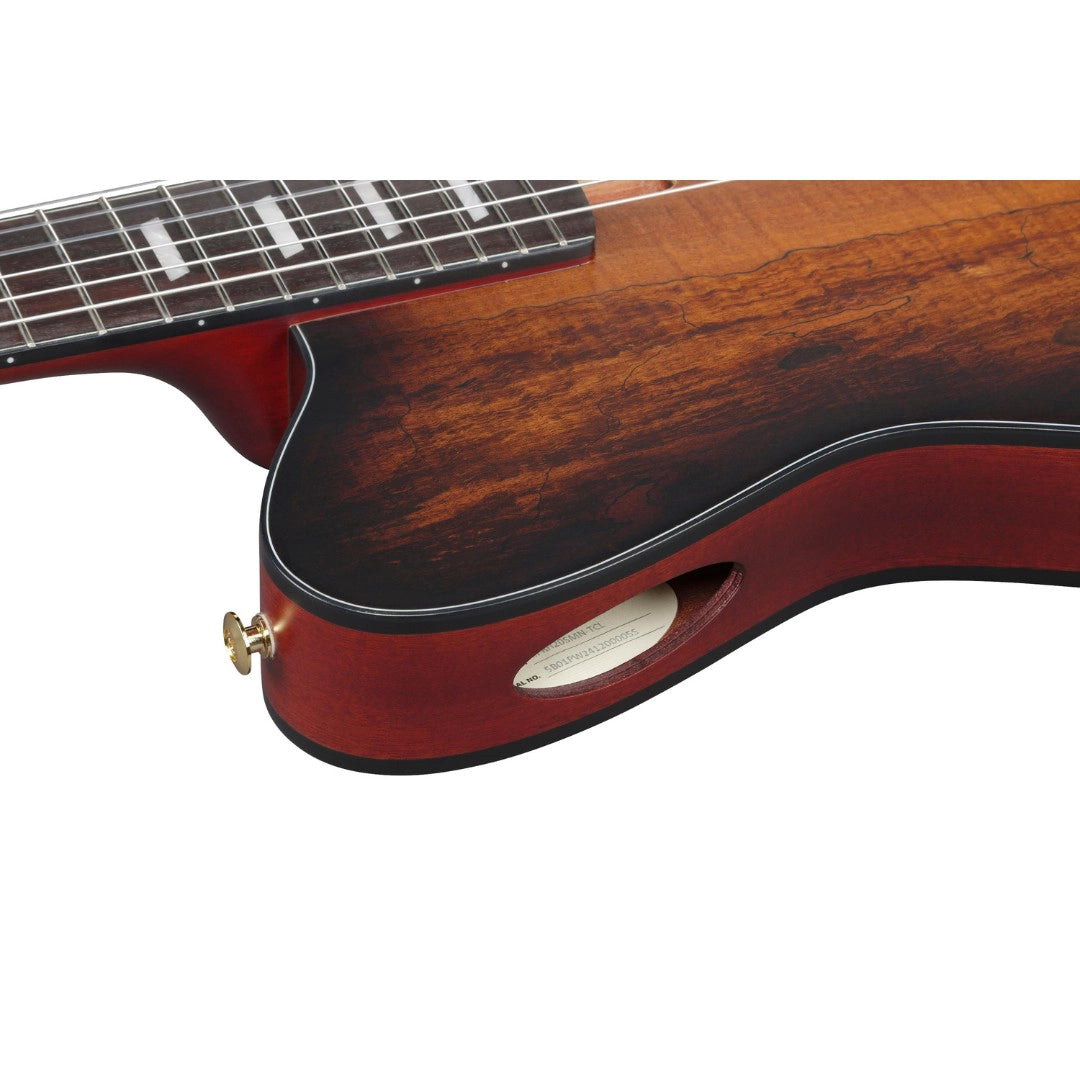 Ibanez FRH20SMN-TCL FRH Series Electro-Acoustic Classical Guitar - Tobacco Burst