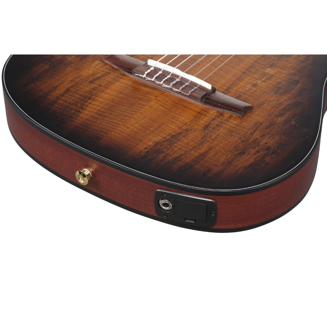 Ibanez FRH20SMN-TCL FRH Series Electro-Acoustic Classical Guitar - Tobacco Burst