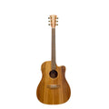 Cole Clark FL2EC BLBL AE All-Blackwood Dreadnought Acoustic-Electric Guitar