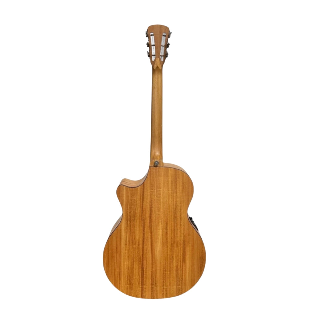 Cole Clark RAN2EC-MMAHR All-Honduran Mahogany Recording Auditorium