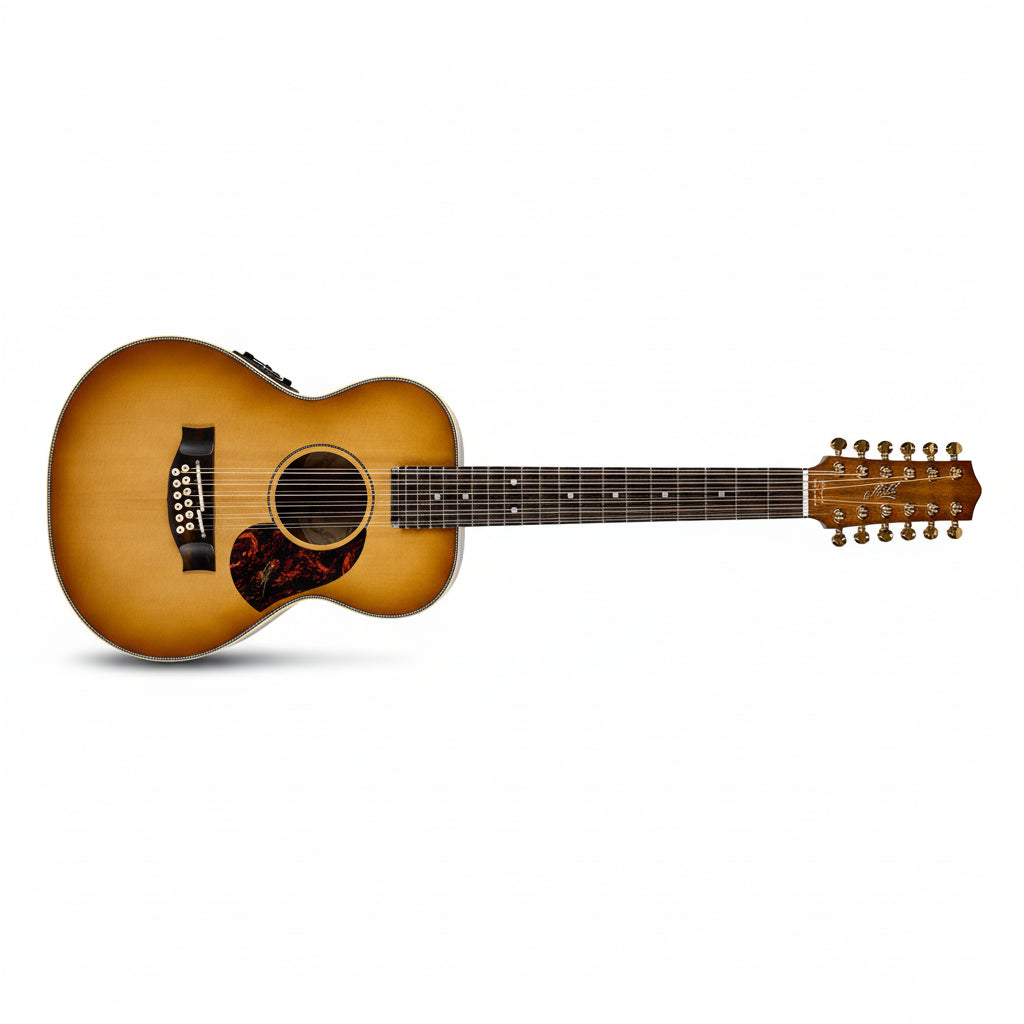 Acoustic guitar with 12 strings on a white background
