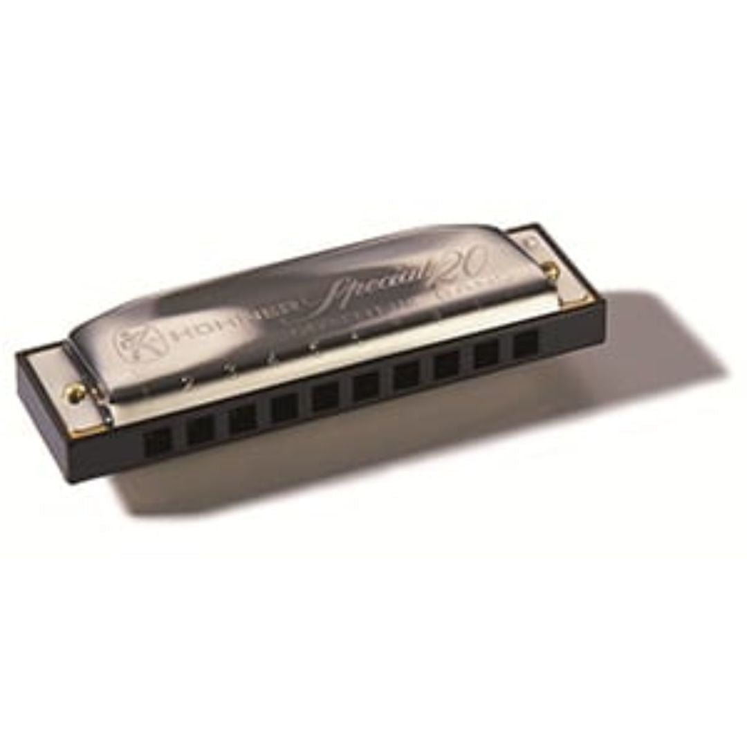 Hohner Special 20 Harmonica - E