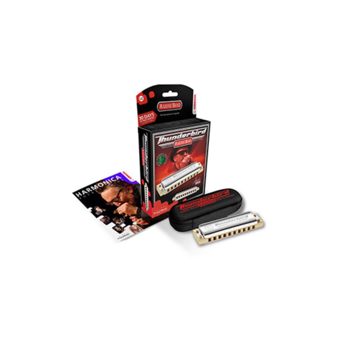 Hohner Thunderbird Harmonica - Low G