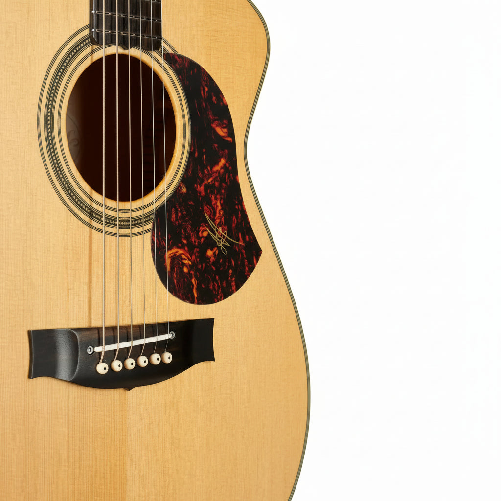 Acoustic guitar with a tortoiseshell pickguard on a white background
