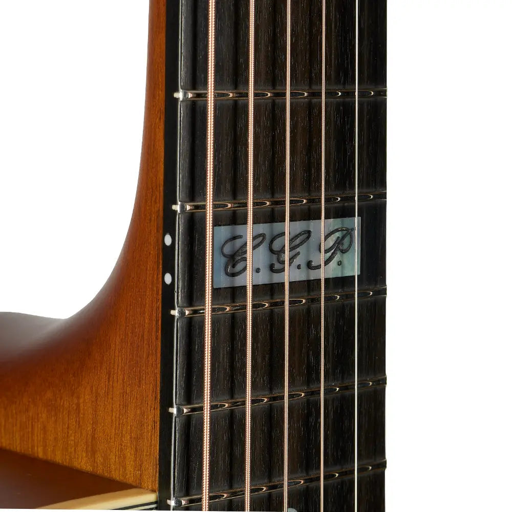 Close-up of a guitar neck with fretboard and strings on a white background
