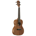 Brown ukulele on a white background