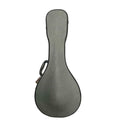Mandolin V-Case