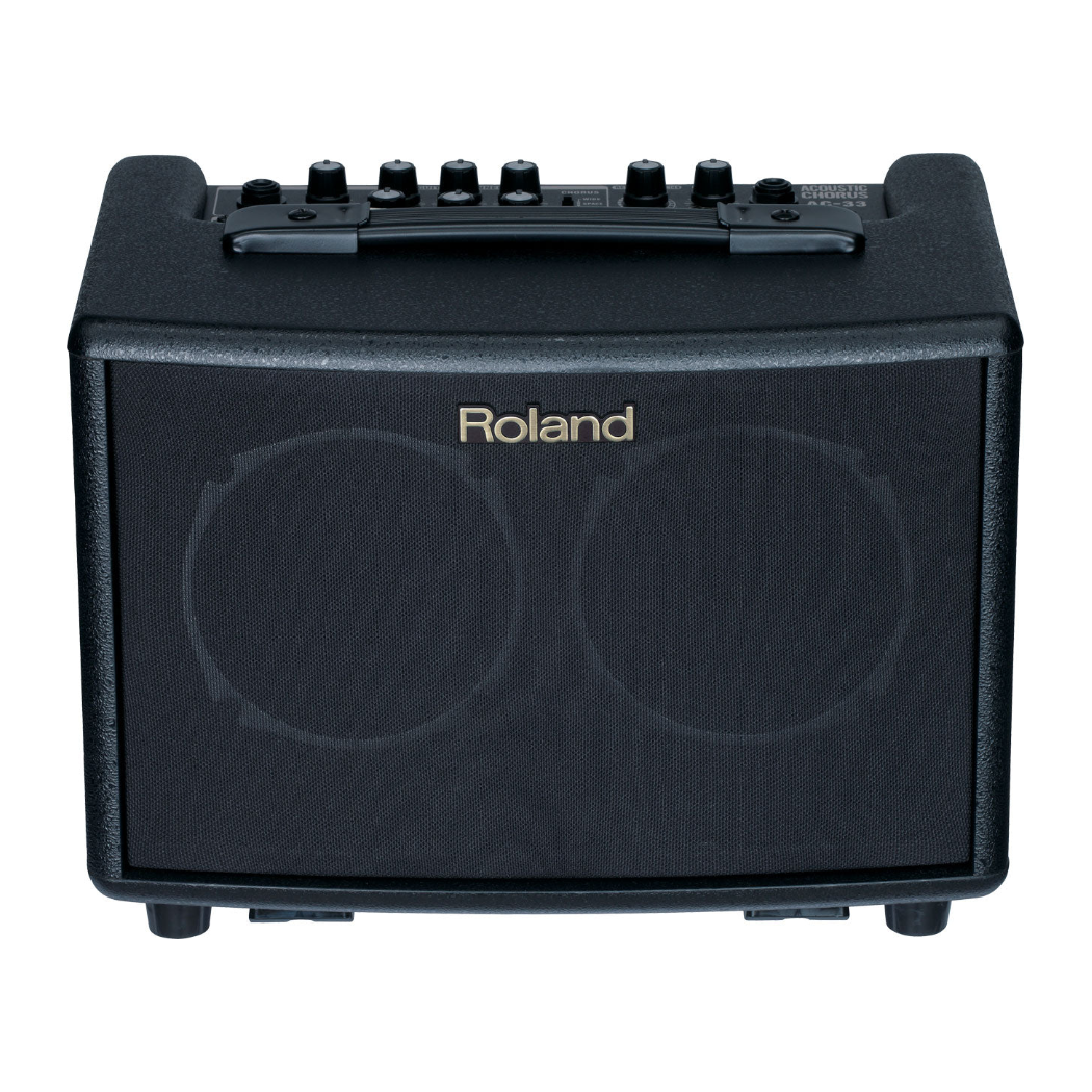 Roland acoustic guitar amplifier on a white background